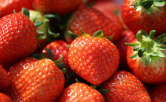한국산 딸기는 맛이 달고 향긋하며 육질이 단단해 해외에서도 인기다. 