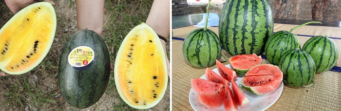 watermelon_Summer_Heat_in2.jpg