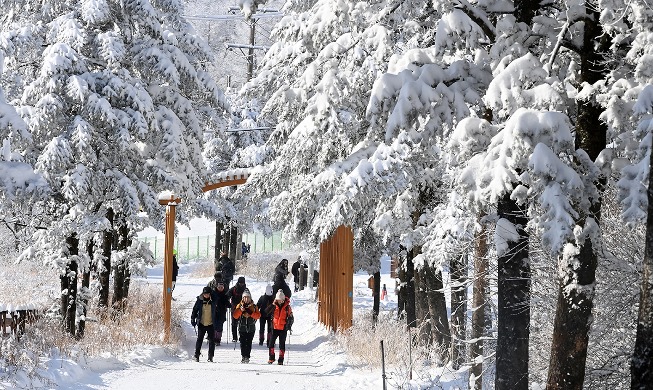 白雪皑皑的大关岭