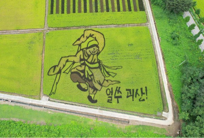 用彩色水稻绘成的“稻田画”