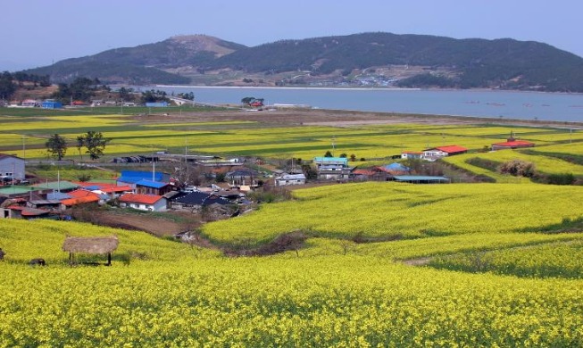 韩国下半年“半价旅行”入选9个地区