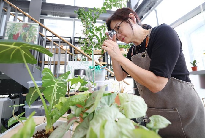 “陪伴植物诊疗所”引发关注