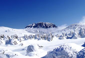请来汉拿山欣赏雪景，体验冬季体育项目
