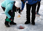 华川大马哈鱼（Mountain Trout）冰雪节