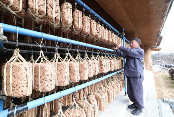 豆酱坯在风和阳光下慢慢发酵