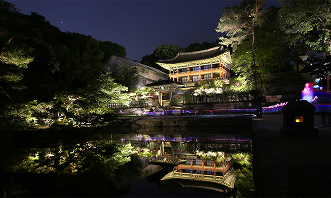 月光下欣赏古宫夜景