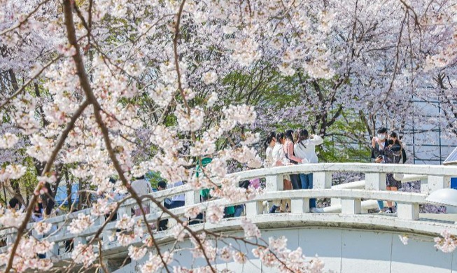 “多彩赏花季”6条赏花线路任你选