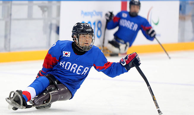 在新家园，种子发芽到平昌开花