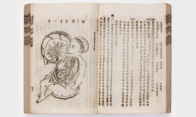 用韩文书写的身体故事