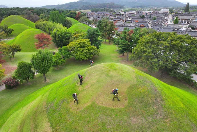 中秋王陵除草作业