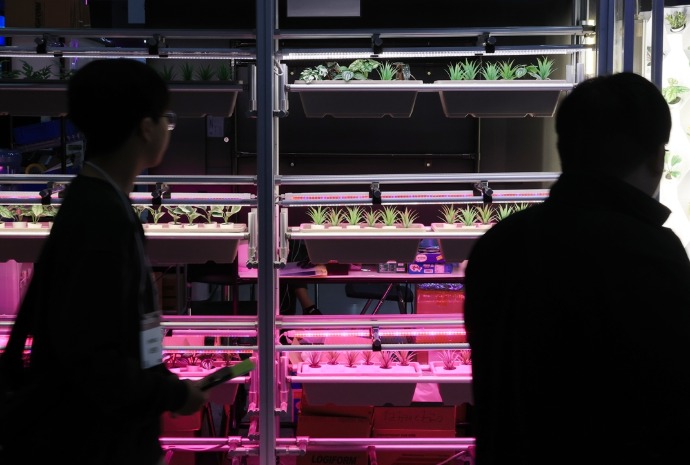 2026韩国电子展：自动植物栽培机