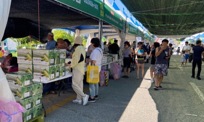 洪川糯玉米节