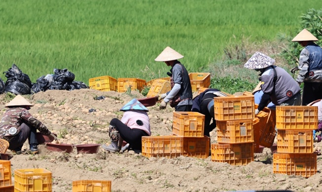 韩政府严打外籍劳动者人权侵害 对高风险用工单位实施提前检查