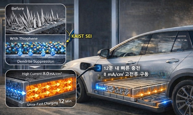 韩国科学技术院与高丽大学开发锂金属电池商用核心技术