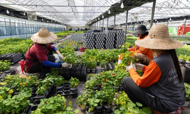 韩雇佣劳动部将构建“提升外籍劳动者权益”合作机制