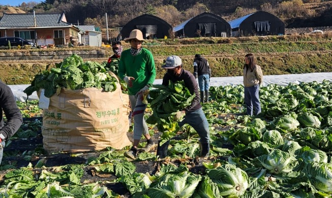 韩国拟免除外国季节性务工人员长期护理保险费