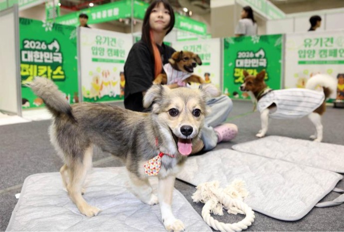 寻找有缘家庭