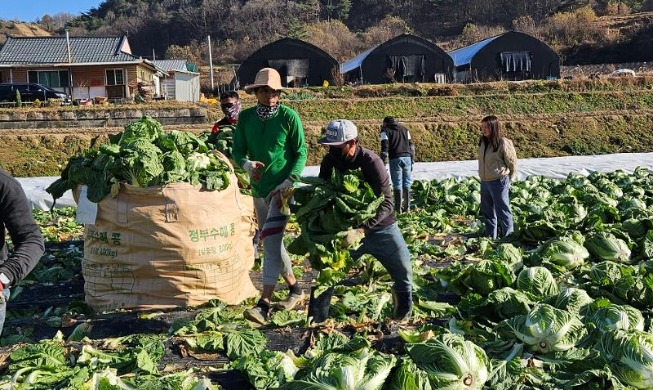 韩国明年非专业外国人力将控制在19.1万名左右