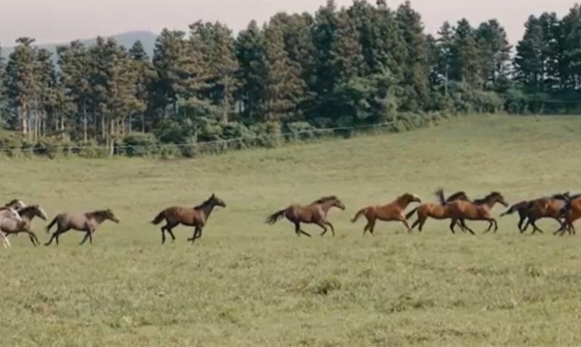 2026年丙午年：马年说“马”