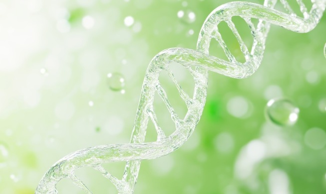 韩研究团队发现自闭症遗传变异两类分子特征