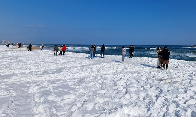 镜浦海边白雪皑皑