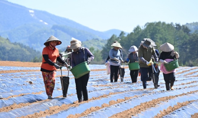 被拖欠工资的在韩外国劳动者不会强制出境