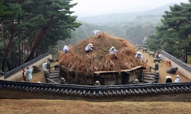 寒食节割紫芒祭太祖李成桂