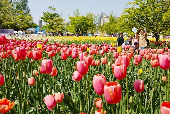 步步皆春 花影满目