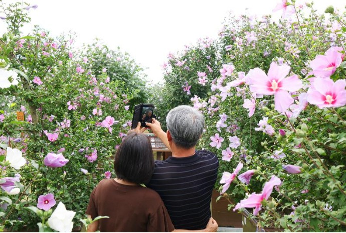 国花无穷花大庆典开幕