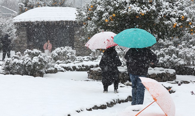 济州岛大雪纷飞