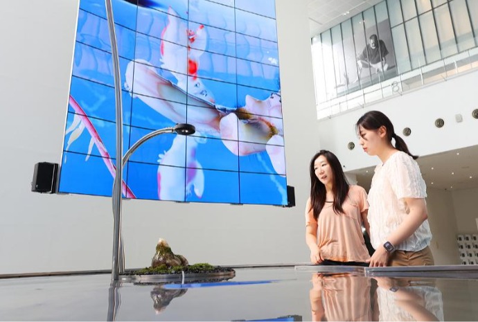 数字时代的全新美感