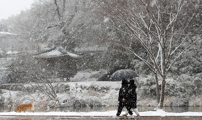 雪中漫步