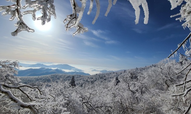 晚冬和早春共存的韩半岛