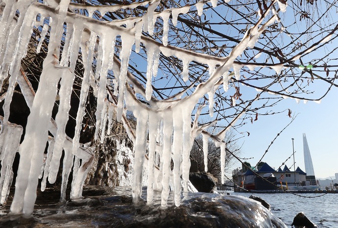 寒潮形成的冰柱