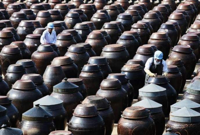 春分将至的酱缸台