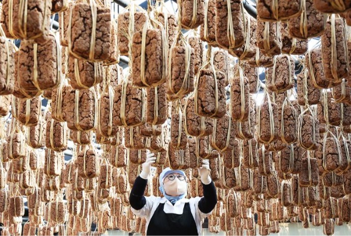 晾晒酱块的季节