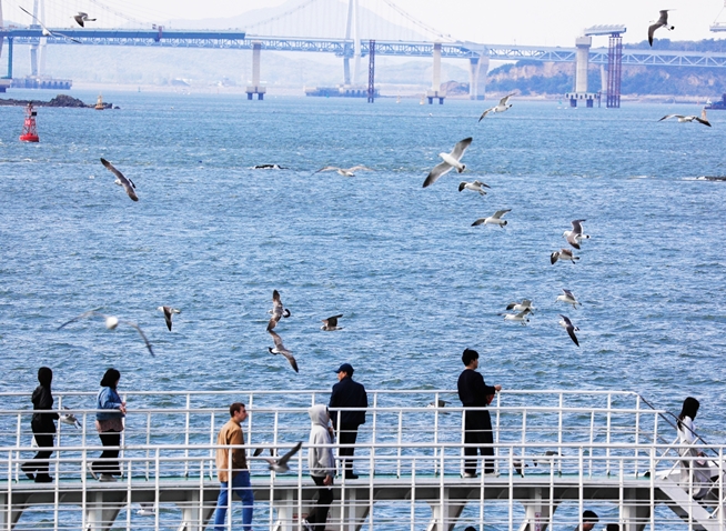 仁川月尾岛：城市边缘的海上休闲胜地