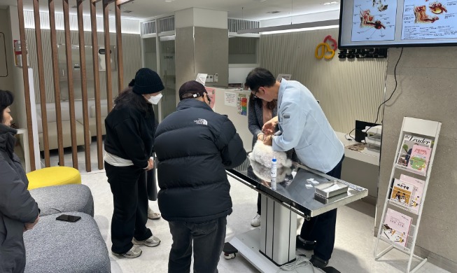 金浦市扩大宠物公共诊疗服务 促进流浪动物领养