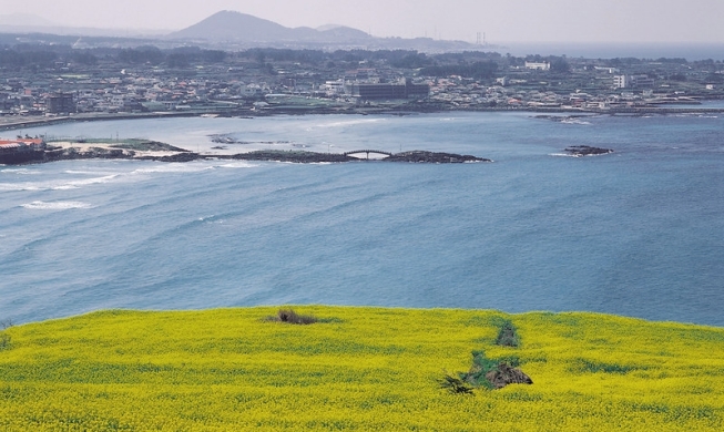 “现在正是赴韩好时机” 多重优惠吸引外国游客