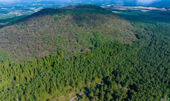 【韩国公共行政的优势】从废墟中创造绿色奇迹：韩国森林绿化成为全球政策标杆