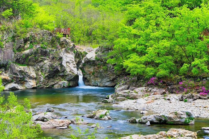 ▲ ‘디엠지(DMZ) 평화의 길’ 테마노선 11개 사전 참가 신청 접수가 오는 23일부터 시작된다. 사진은 테마노선 중 양구 노선에 포함된 ‘두타연’ 전경. 양구군청
