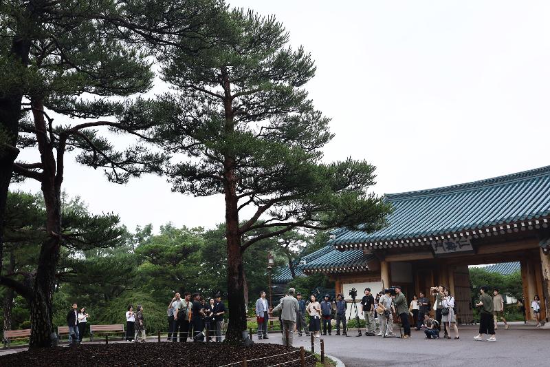7月1日起，以历届韩国总统们的植树纪念为主题，青瓦台开展探访历届总统纪念树木的活动。图为参加“探访青瓦台历届总统植树纪念”活动的参观者们正在听取由总统纪念植树专家朴相振（音）教授讲解的韩国前总统卢武铉纪念松树（右）的相关内容。左侧第二颗为韩国前总统卢泰愚的纪念树。图片来源：韩联社