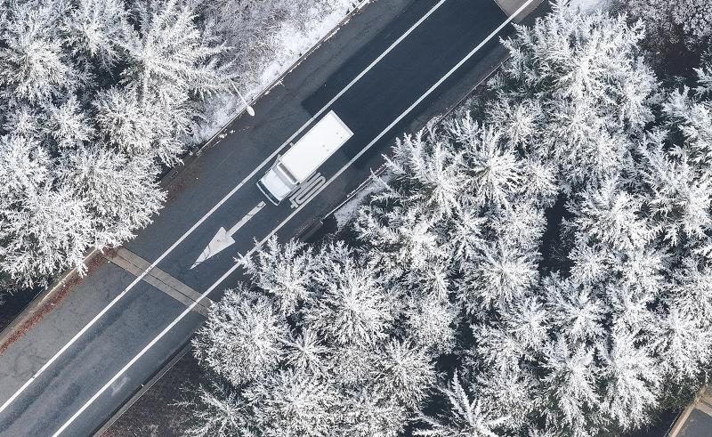 3일 경북 칠곡군 한 도로에 식재된 가로수 위로 눈이 쌓여 있다. 연합뉴스