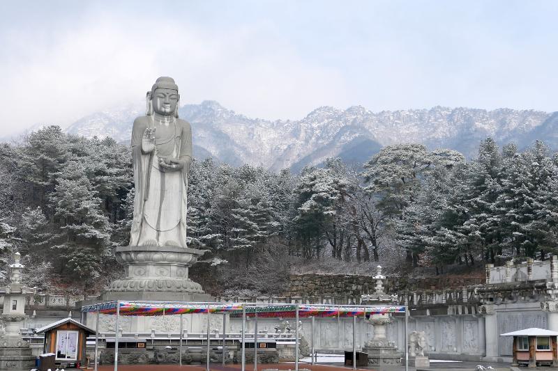 桐华寺统一药师如来大佛后方的八公山山脚清晰可见。图片来源：八公山国立公园东部事务所