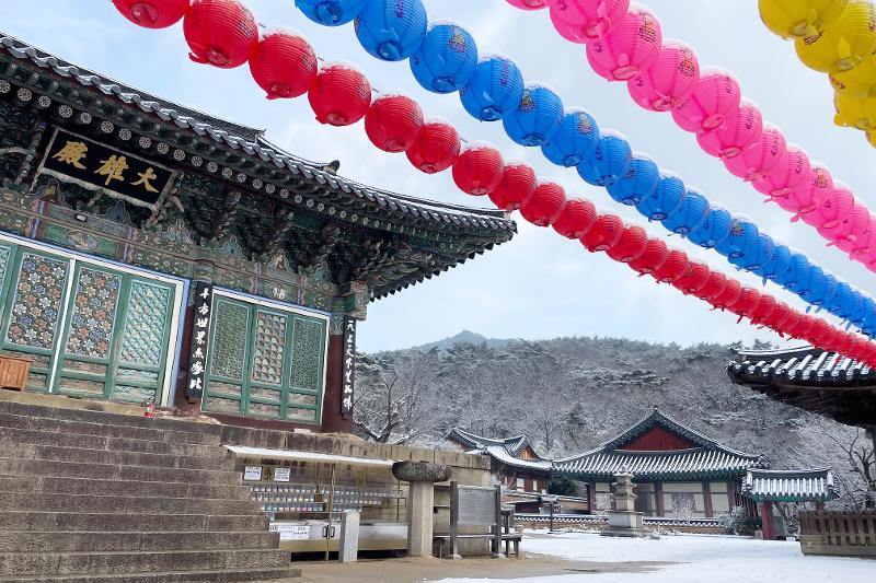 桐华寺拥有1500年的历史和传统，是韩国佛教的代表性“禅林”。是众多僧侣聚集在一起修行的禅宗寺院应具备可参禅修行禅院、经典教育机构讲院、戒律专门教育机构律院，以及专门传授念佛修行的念佛院。图片来源：八公山国立公园东部事务所