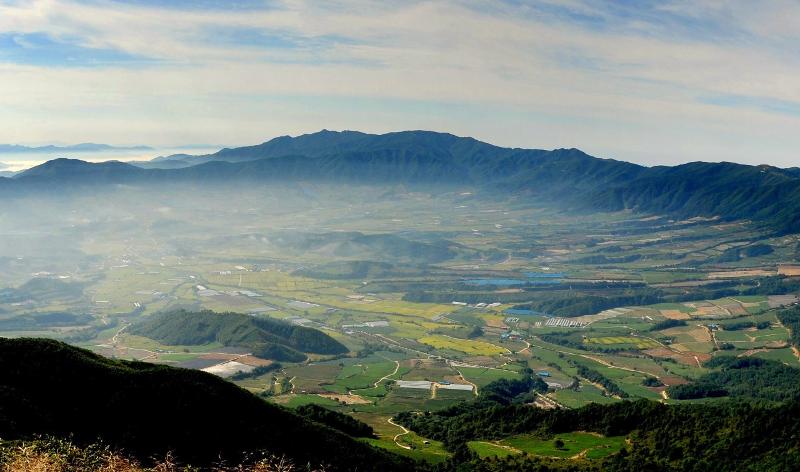 江原道杨口郡的DMZ　“PunchBowl”森林