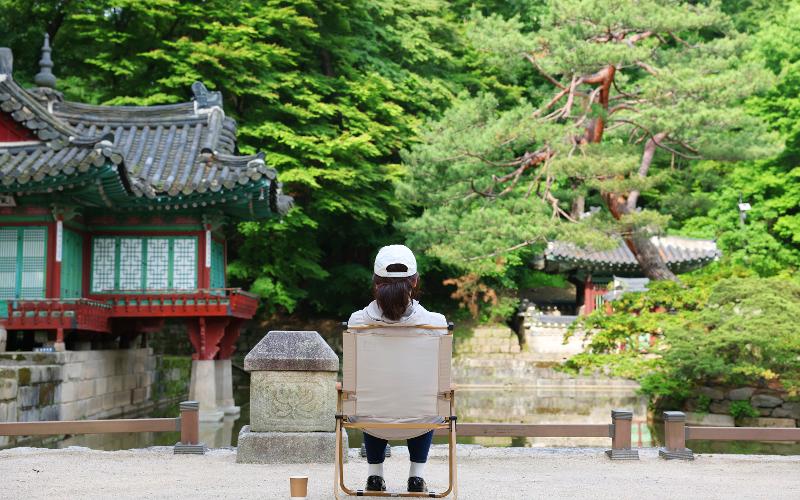 Meditative Stroll Through a Royal Garden: ‘Silent Serenity’ to Be Held at Changdeokgung