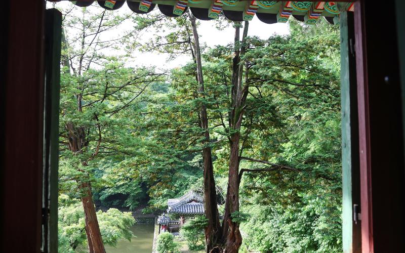 在韩屋中，窗户是风景的相框。通过空间和自然之间的互动，总是能发现新的风景。把自然当作挂在墙上的画，通过窗户看到的则是流动的画作。透过窗户，每个瞬间都有不同的庭院。