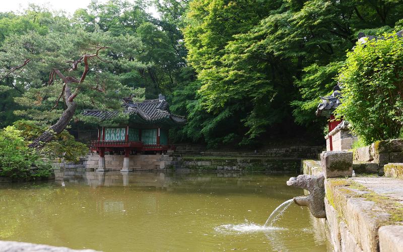 雨后的清晨，溪水通过龙头形状的石漏槽流入莲花池。从石漏槽落下的水声，是填满寂静宫殿的声音。