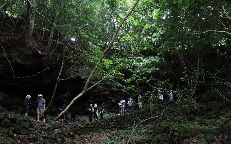 7月10日，徒步旅行“熔岩之路”活动参与者们正在沿熔岩地形行走。韩宣网记者朴大珍 摄